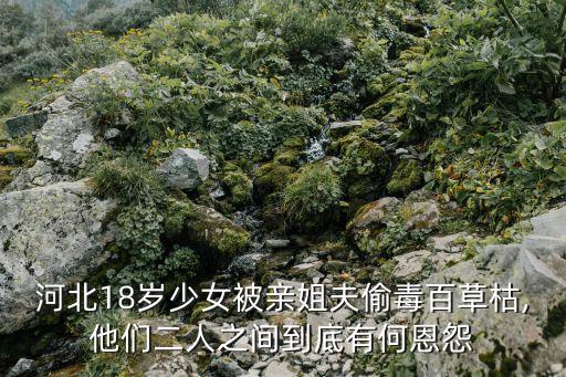 ,中國第一劇毒農藥是什么