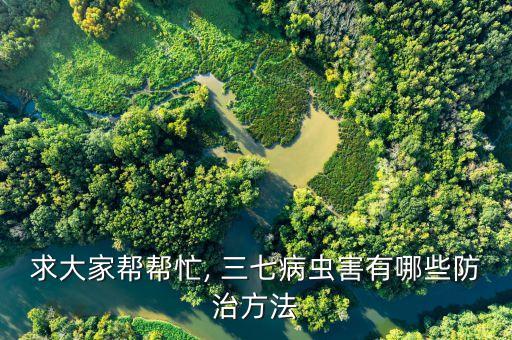 ,三七苗要打什么農(nóng)藥好