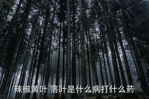 打農藥一般什么時間打比較好,什么農藥可以打落葉