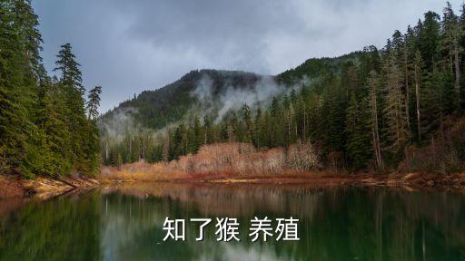 知了猴 養(yǎng)殖