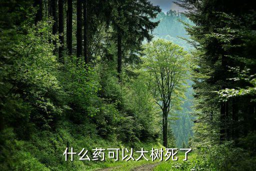 除小樹(shù)買(mǎi)什么農(nóng)藥,什么農(nóng)藥可以殺害小樹(shù)
