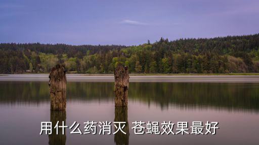 用什么藥消滅 蒼蠅效果最好