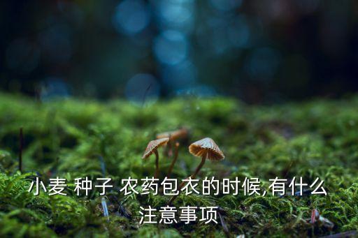 小麥 種子 農(nóng)藥包衣的時候,有什么注意事項