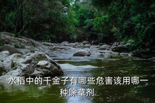 什么農藥對水稻傷害大呢,水稻矮化用什么農藥
