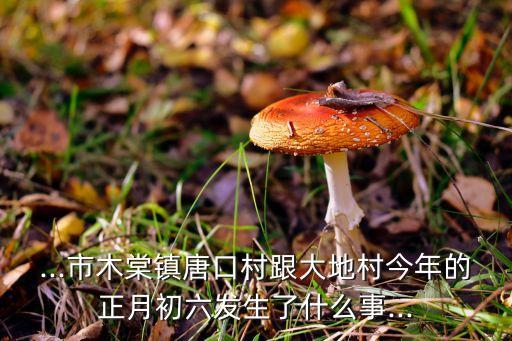 ...市木棠鎮(zhèn)唐口村跟大地村今年的正月初六發(fā)生了什么事...