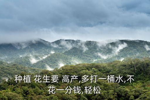 種植 花生要 高產,多打一桶水,不花一分錢,輕松