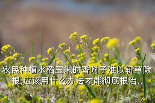 根除香附籽用什么農(nóng)藥