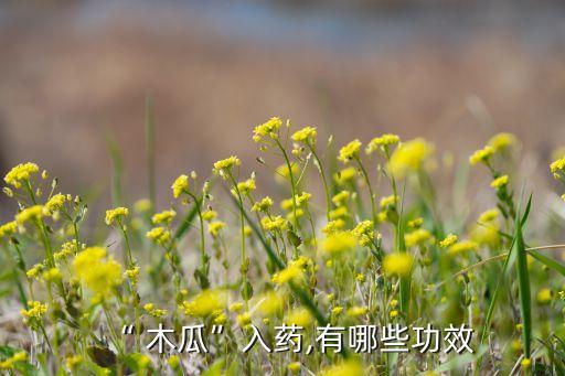 藥用木瓜打什么農藥,木瓜需要打農藥嗎