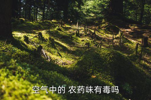 空氣中的 農藥味有毒嗎