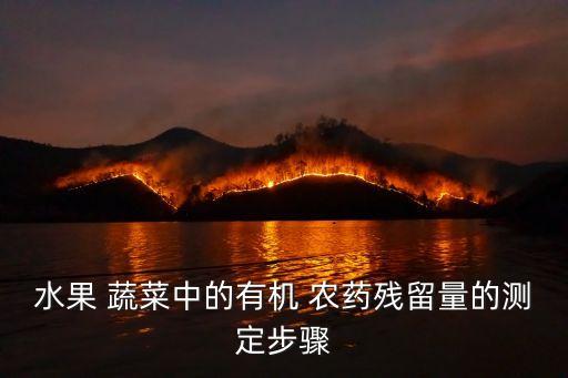 水果 蔬菜中的有機(jī) 農(nóng)藥殘留量的測(cè)定步驟