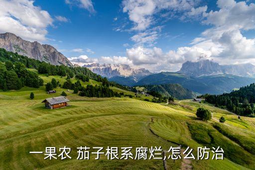 一果農(nóng) 茄子根系腐爛,怎么防治
