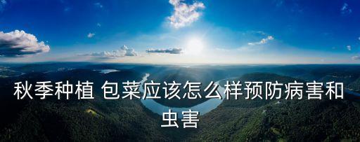 包菜是不是農藥最多,包菜用什么農藥最多