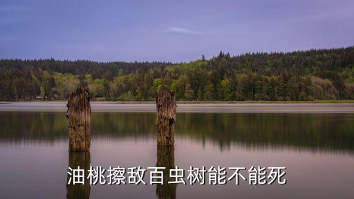 油桃擦敵百蟲樹能不能死