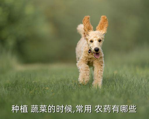 種植 蔬菜的時候,常用 農藥有哪些