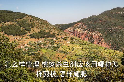 怎么樣管理 桃樹殺蟲劑應該用哪種怎樣剪枝,怎樣施肥