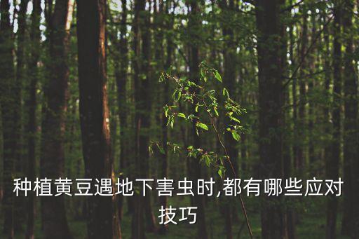 種植黃豆遇地下害蟲時,都有哪些應對技巧