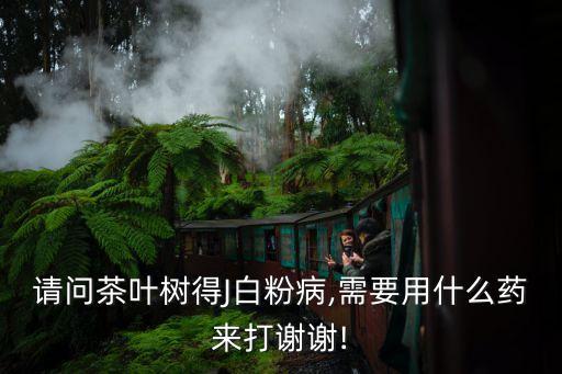 請(qǐng)問(wèn)茶葉樹(shù)得J白粉病,需要用什么藥來(lái)打謝謝!