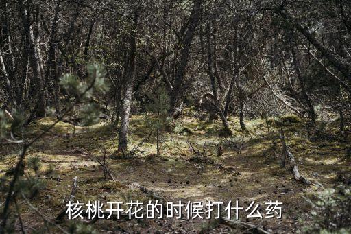 核桃開花的時候打什么藥