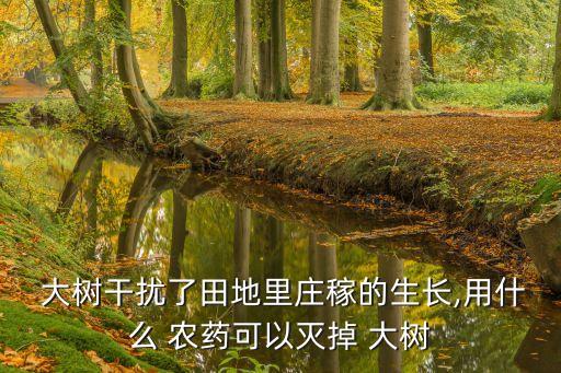 有什么農藥把大樹死掉,除大樹用什么農藥