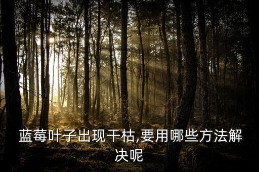 藍莓需要用什么農藥消毒,藍莓打什么農藥