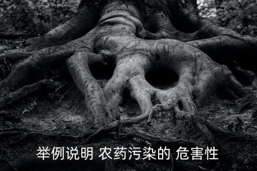 舉例說(shuō)明 農(nóng)藥污染的 危害性