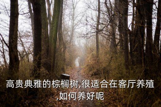 高貴典雅的棕櫚樹,很適合在客廳養殖,如何養好呢