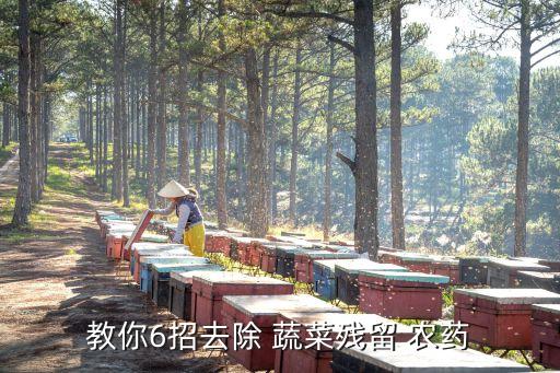 教你6招去除 蔬菜殘留 農(nóng)藥
