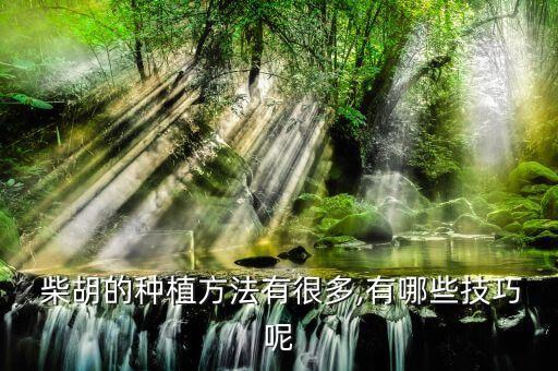  柴胡的種植方法有很多,有哪些技巧呢