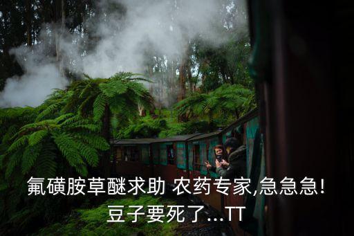 用什么農(nóng)藥能殺死黃豆苗,黃豆要打什么農(nóng)藥