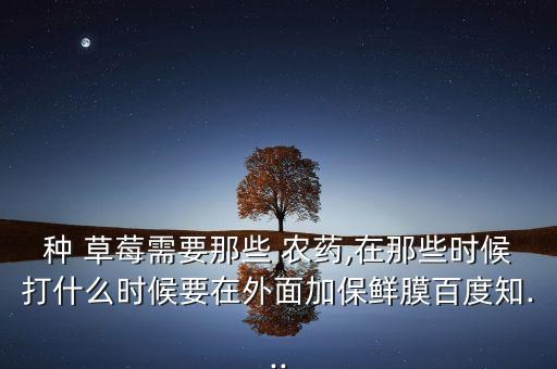 草莓花果期打什么農藥