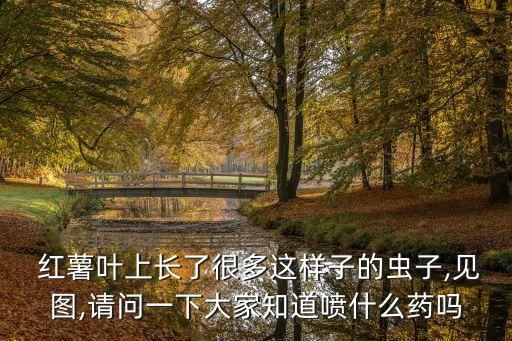  紅薯葉上長了很多這樣子的蟲子,見圖,請問一下大家知道噴什么藥嗎