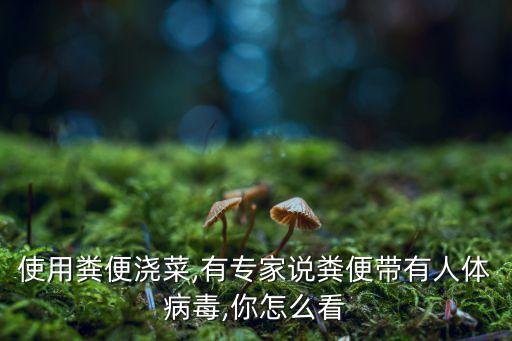 使用糞便澆菜,有專家說糞便帶有人體病毒,你怎么看