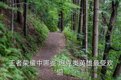  王者榮耀中哪些 坦克類英雄最受歡迎