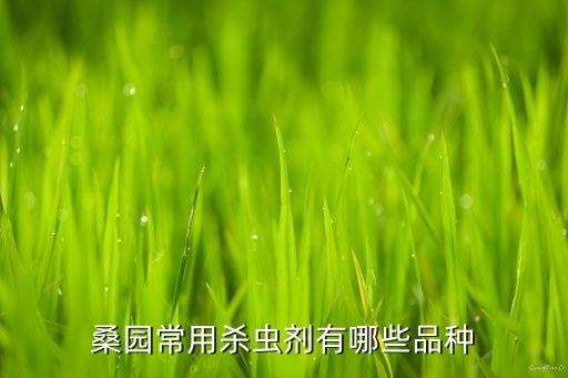 什么農(nóng)藥能殺死葉蟬,葉蟬用什么農(nóng)藥