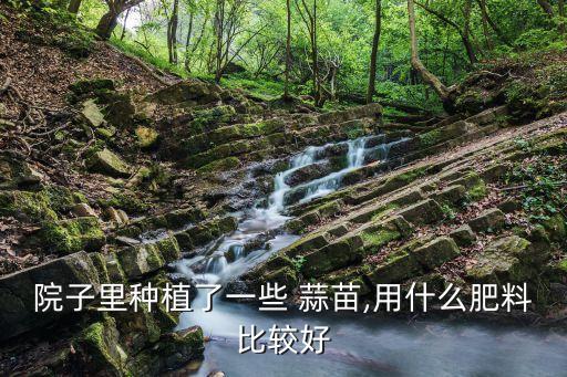 ,蒜苗幼苗期該施什么農藥