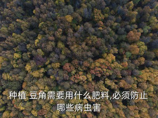 種豆角什么時候打農藥,種長豆角什么時候種