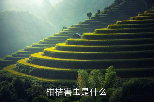 ,蚧螨靈農藥有什么藥效