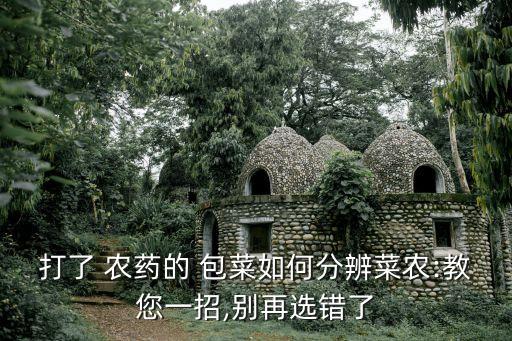 打了 農藥的 包菜如何分辨菜農:教您一招,別再選錯了
