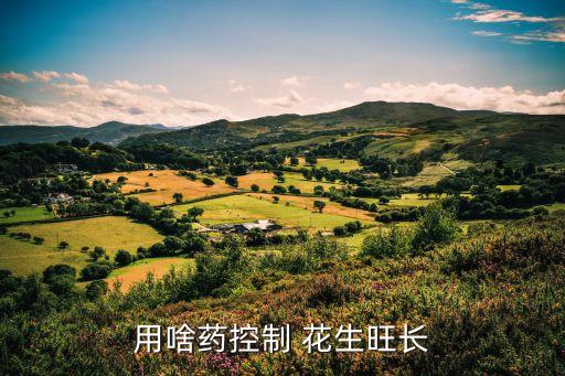 花生施什么農(nóng)藥,花生枯萎病用什么農(nóng)藥