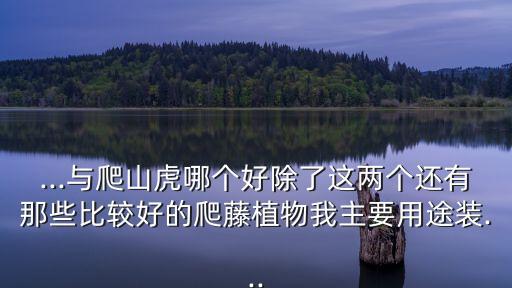 ...與爬山虎哪個好除了這兩個還有那些比較好的爬藤植物我主要用途裝...