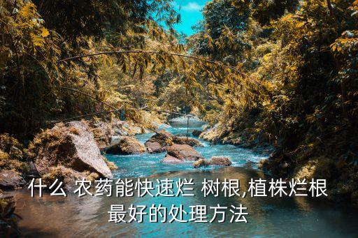 什么 農藥能快速爛 樹根,植株爛根最好的處理方法