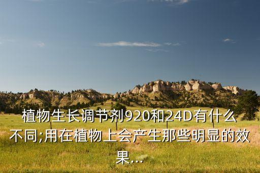 植物生長調節劑920和24D有什么不同;用在植物上會產生那些明顯的效果...