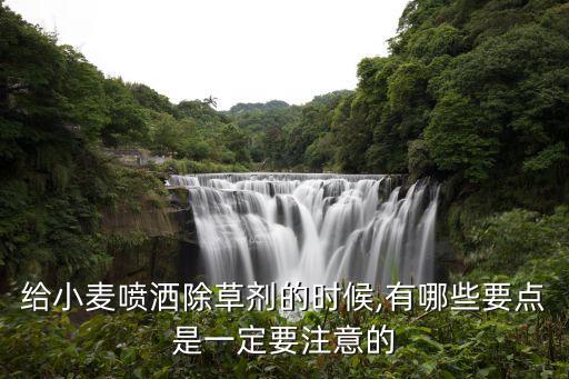 給小麥噴灑除草劑的時候,有哪些要點是一定要注意的