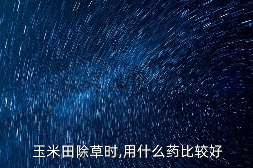  玉米田除草時(shí),用什么藥比較好