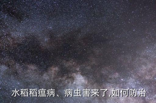  水稻稻瘟病、病蟲害來了,如何防治