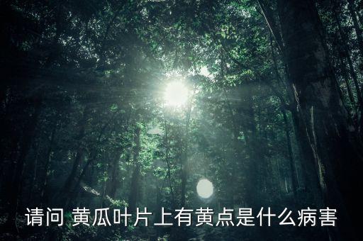 黃瓜用什么農藥打最好,黃瓜葉子黃用什么農藥