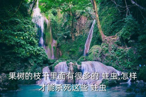 蒂蛀蟲用什么農藥,吳芋樹蛀蟲用什么農藥