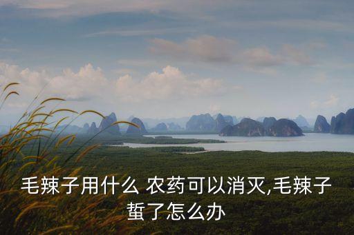 毛辣子用什么 農(nóng)藥可以消滅,毛辣子蜇了怎么辦
