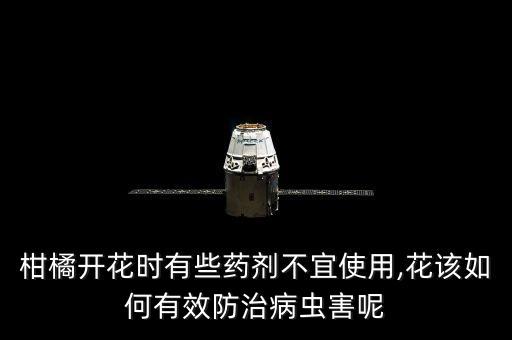 柑橘開花時有些藥劑不宜使用,花該如何有效防治病蟲害呢
