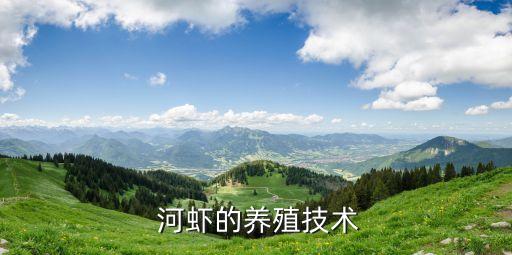 養(yǎng)河蝦需要什么條件和技術(shù),河蝦用什么農(nóng)藥